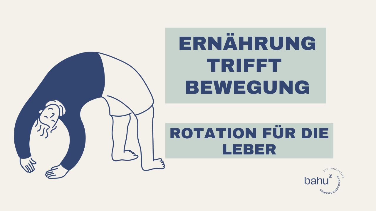 Rotation für die Leber
