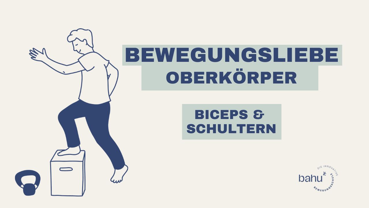 Biceps & Schultern